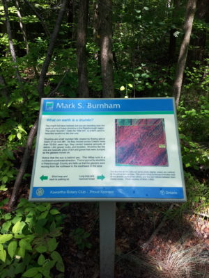 Sign describing the drumlin.