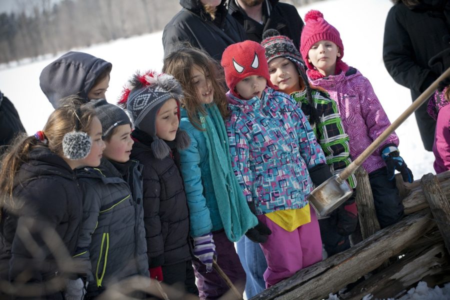 Maple Syrup Festival, Bronte Creek