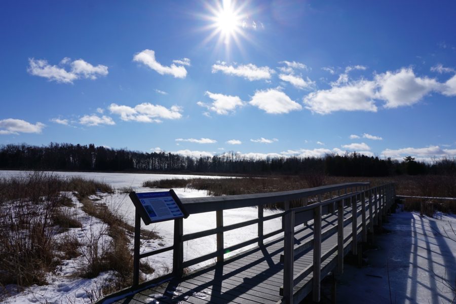 winter trail on sunny day