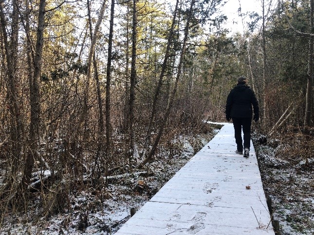 light snow on boardwalk