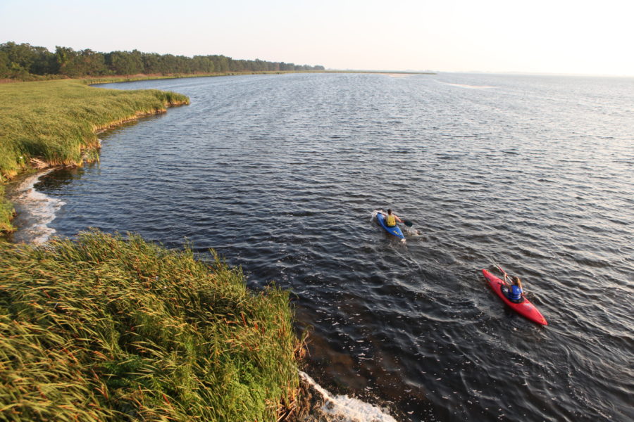 Paddling along the shoreline of Rondeau.