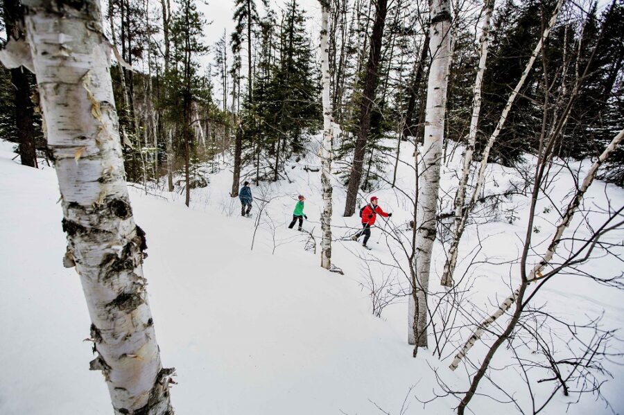 people snowshoeing