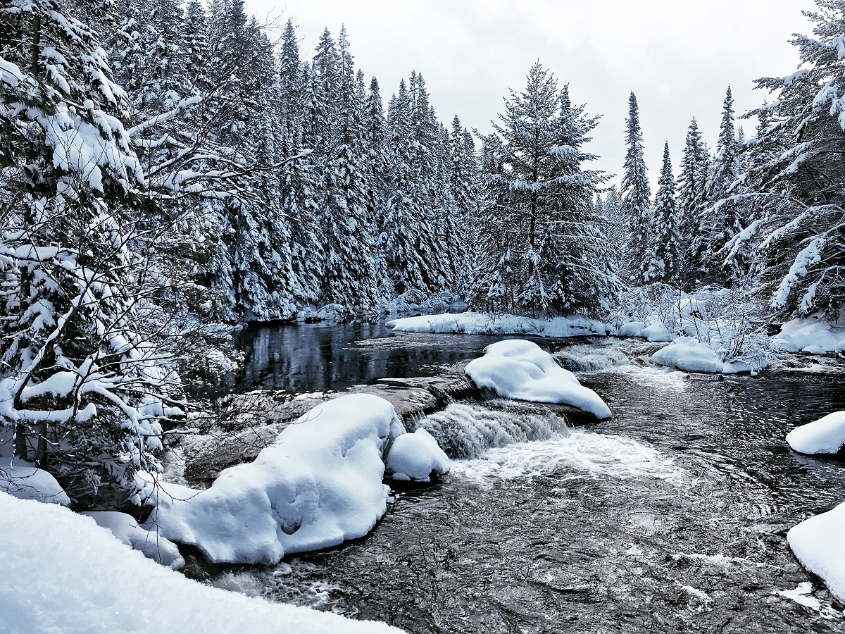 Frozen lake at Algonquin