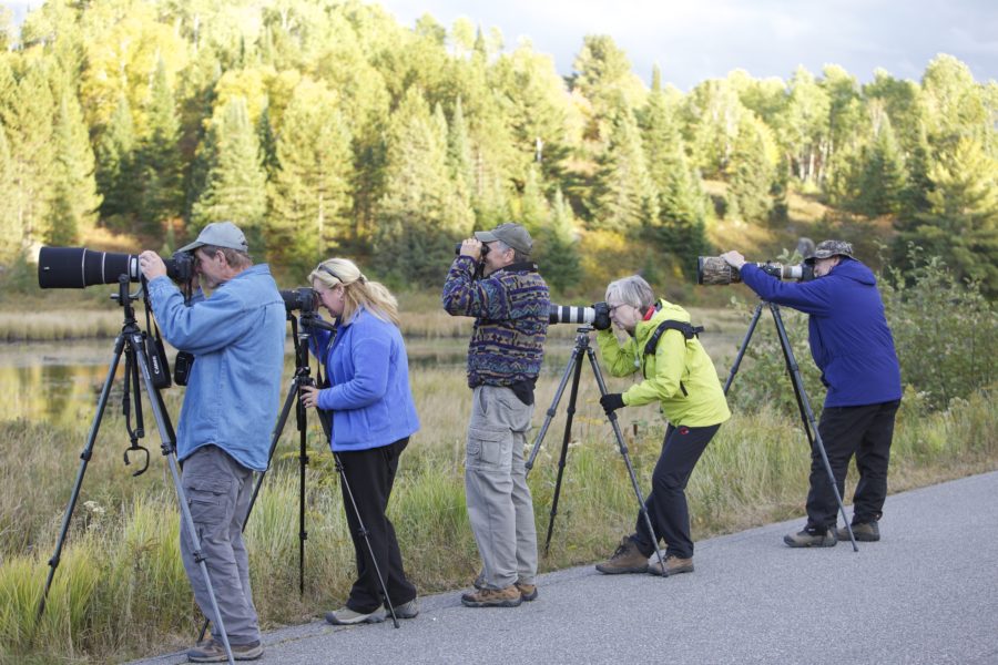 Group of adults with large cameras