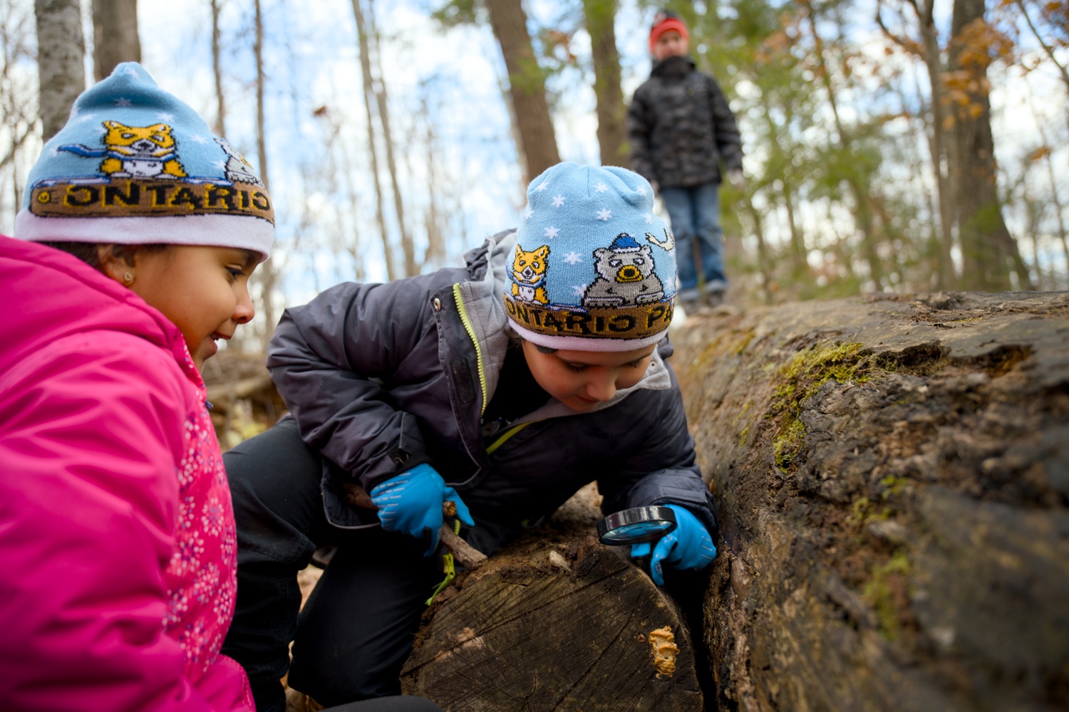 two kids using a magnifying glass to look at a log