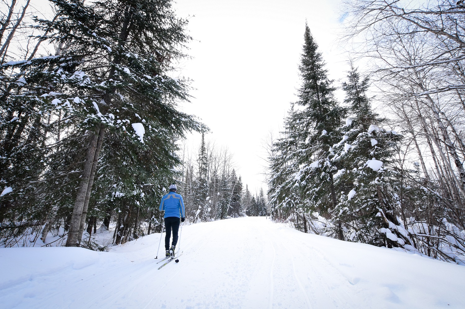 person skiing on trail