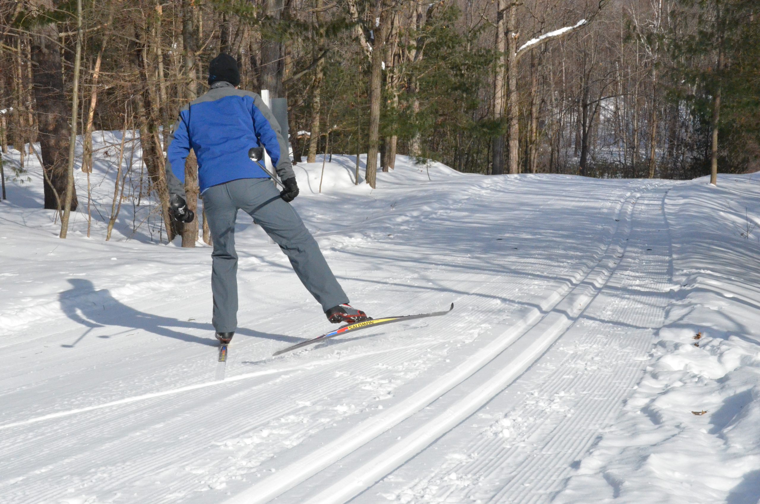 A person skate-skiing on a groomed ski trail through a forest