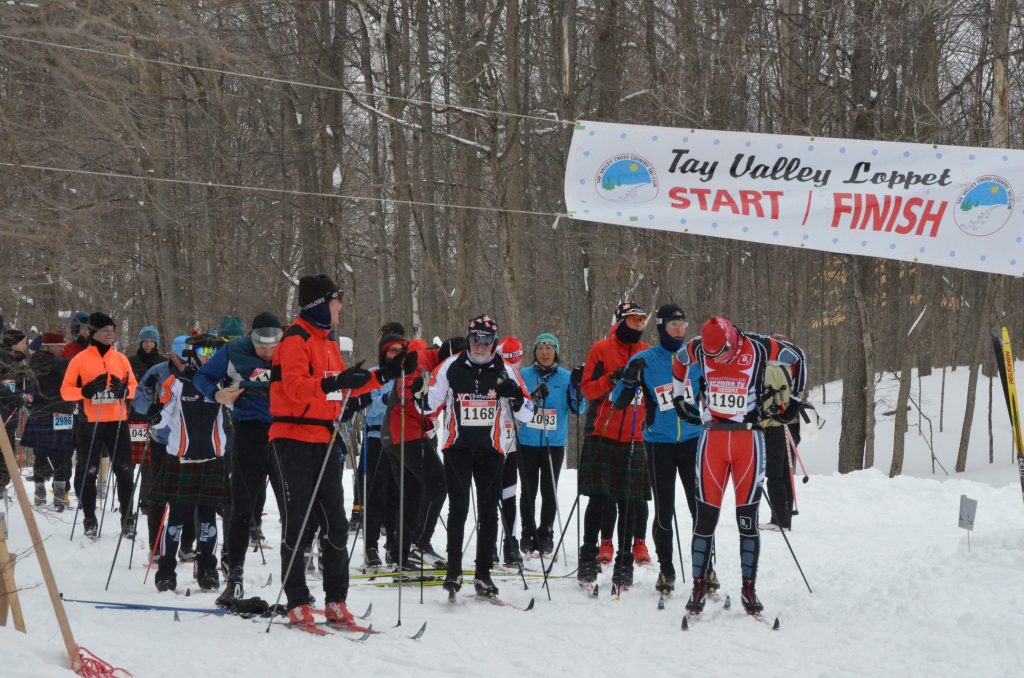 A group of skiers gathered the starting line of a loppet