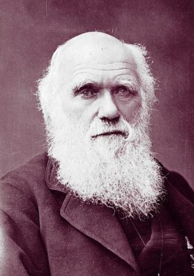 Portrait of Charles Darwin