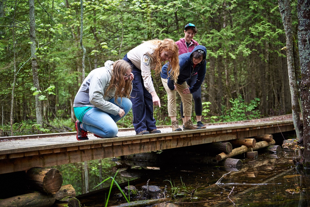 Discovery Ranger delivers education program on footbridge