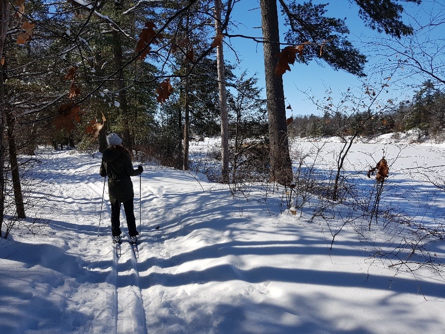 woman skiing beside lake