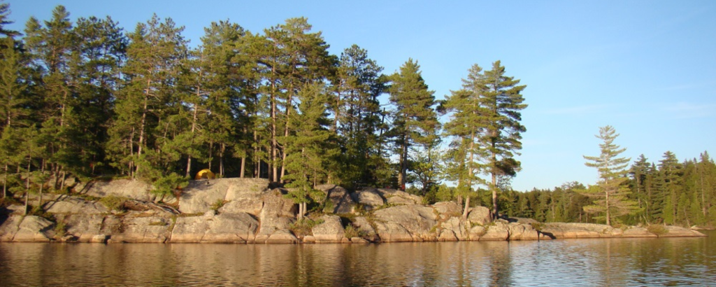 A rocky point with trees, on a body of water