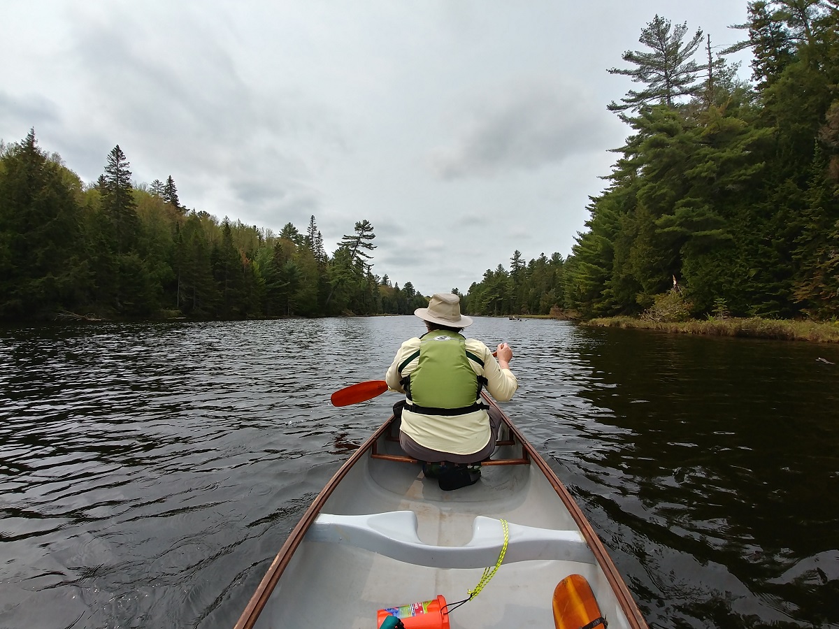 people paddling