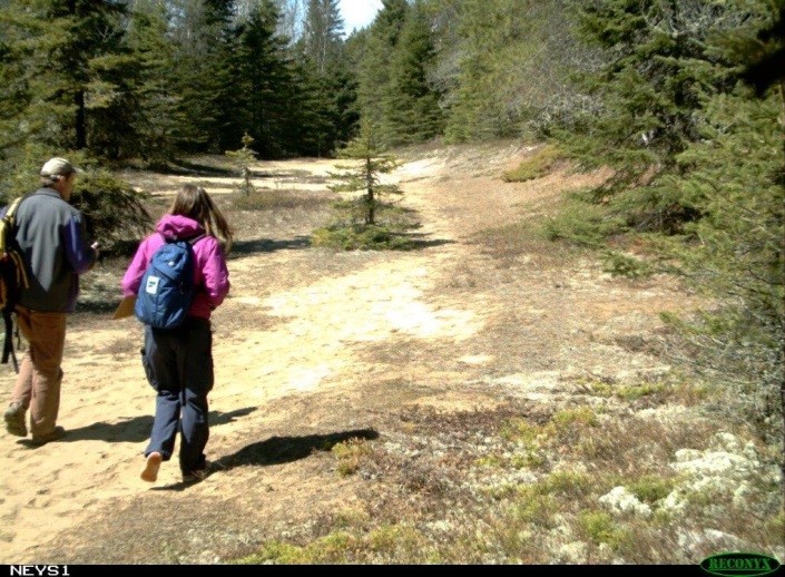 staff walking on trail