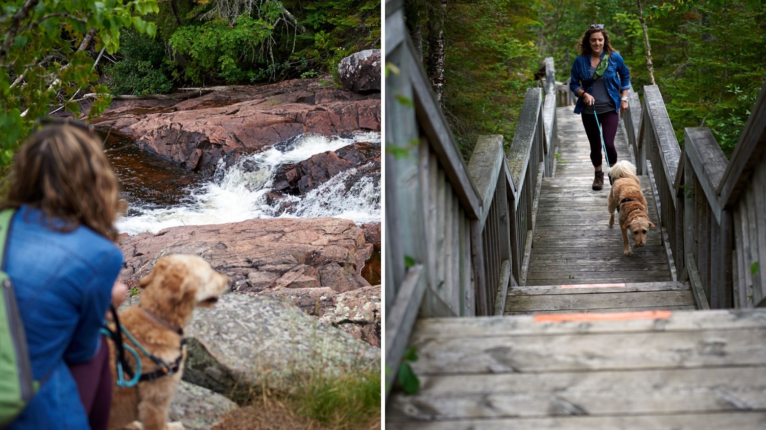 Person walking dog on a leash through Rainbow Falls Trail at Rainbow Falls Provincial Park