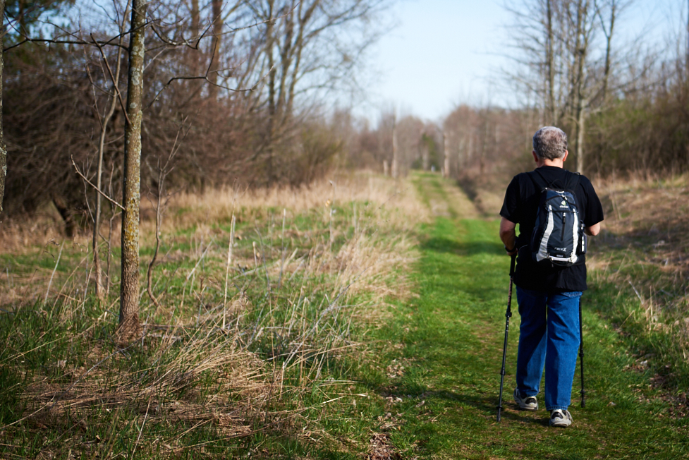 Hiker on path