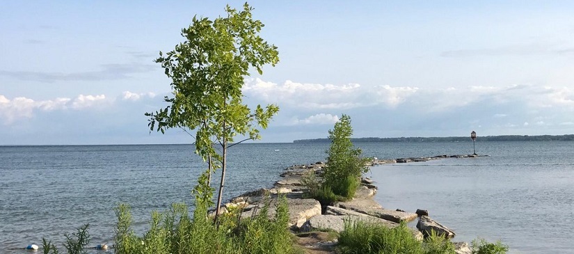 View from point on the lake