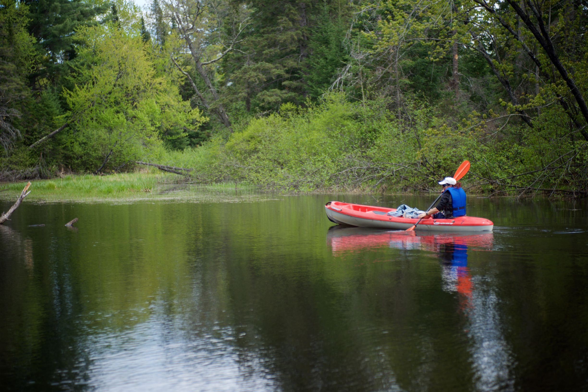 Man in kayak on Bonnechere River