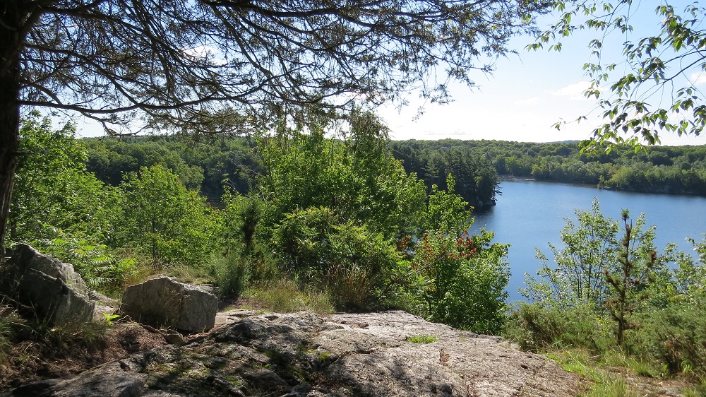 view of trail