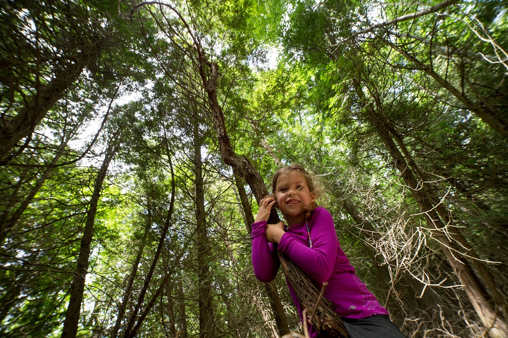 child holding tree