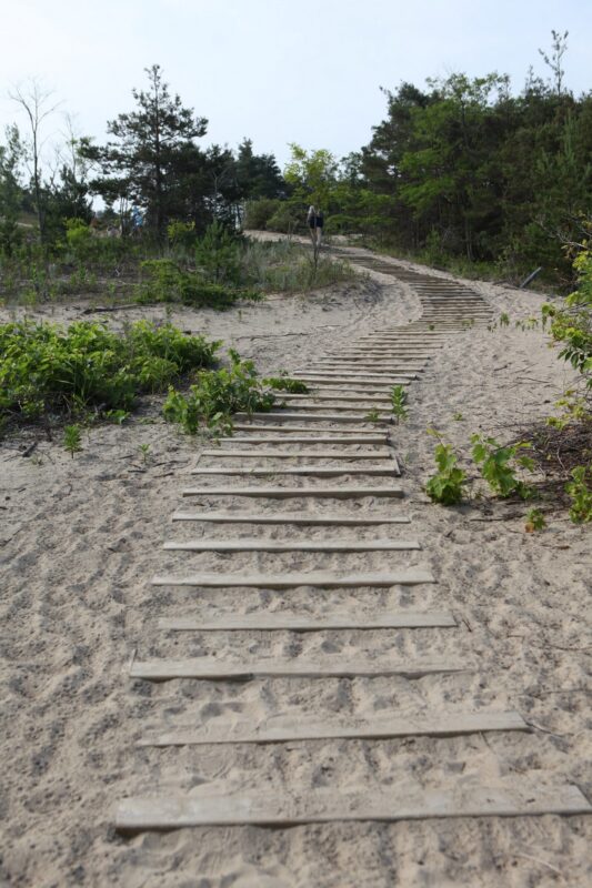 steps in sand leading up hill on hiking trail