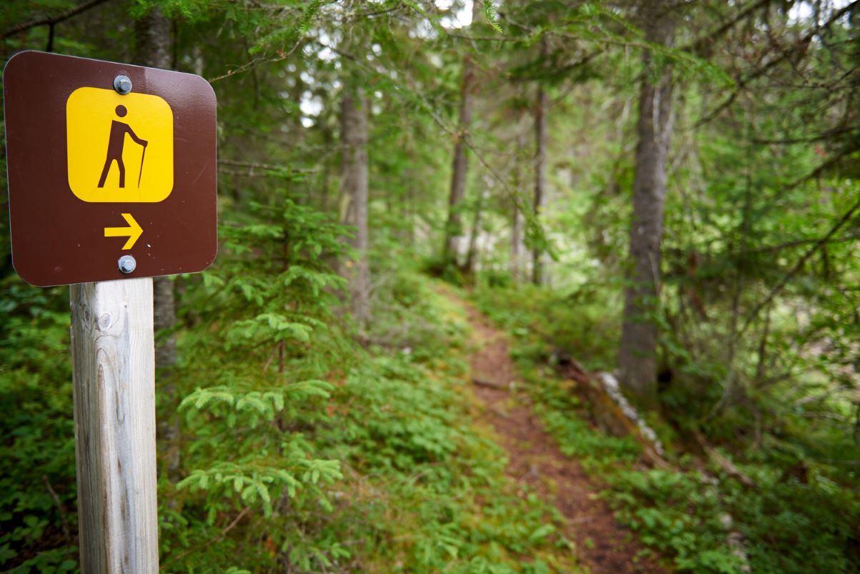 sign pointing the way to a trail