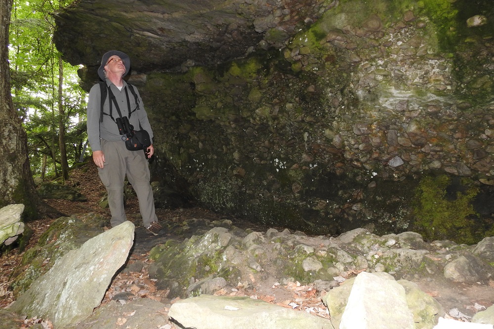 David in rock shelter