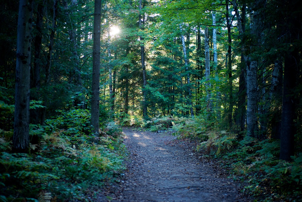 hiking trail