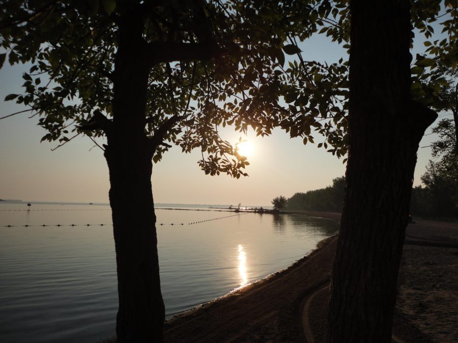 beach at dusk