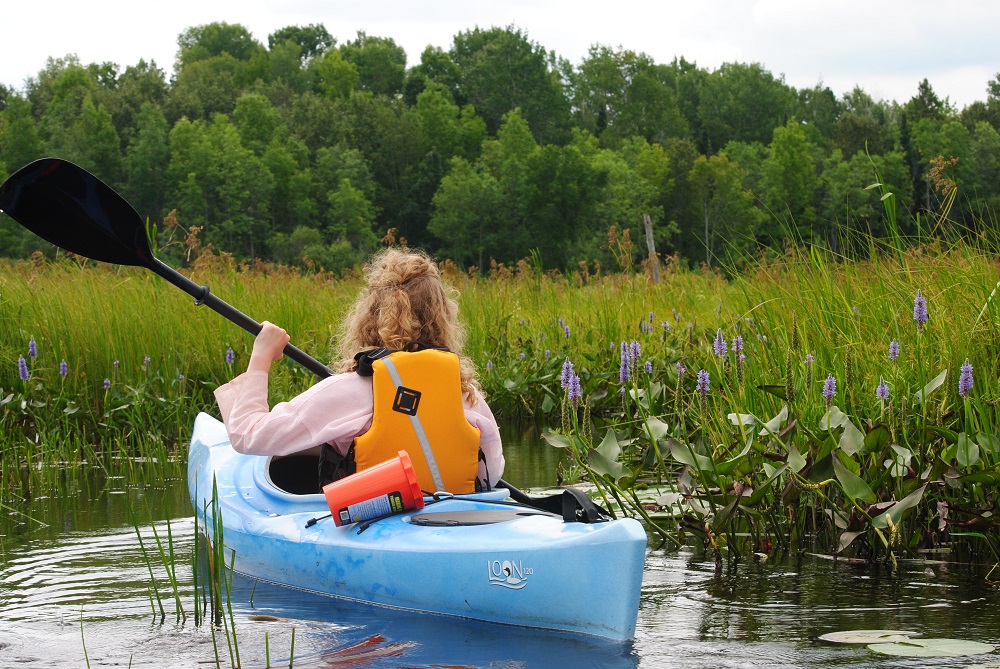 person paddling in canoe