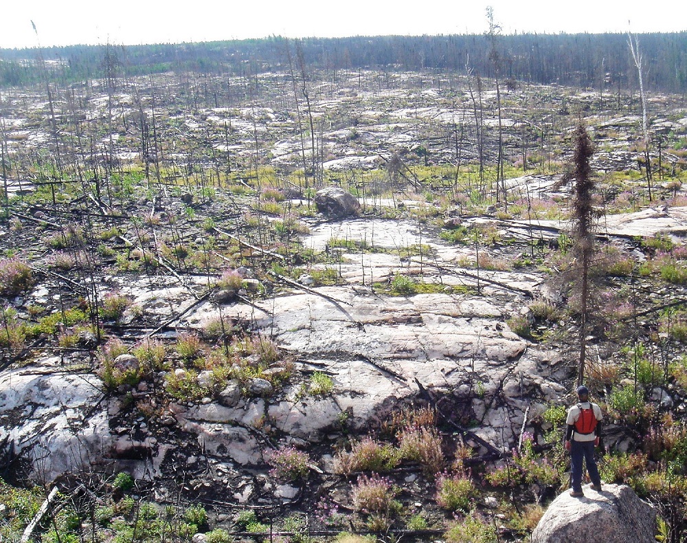 Woodland Caribou Provincial Park aerial view after a forest fire.