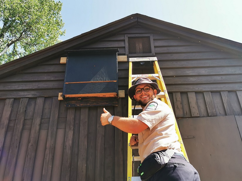 Park staff after installing bat house