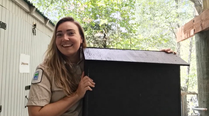 Park staff holding up bat house