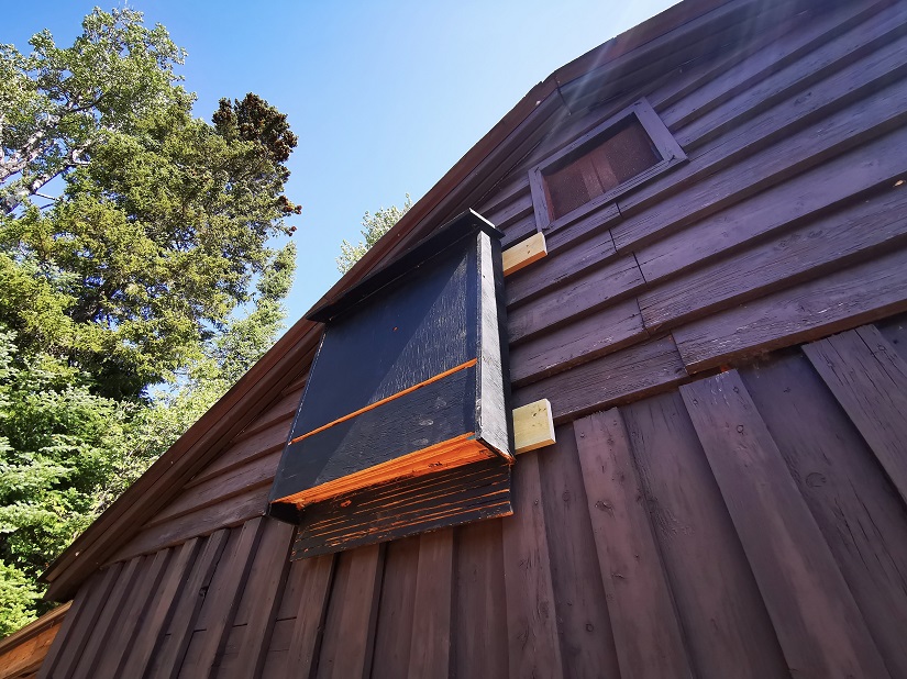 Bat house attached to a building