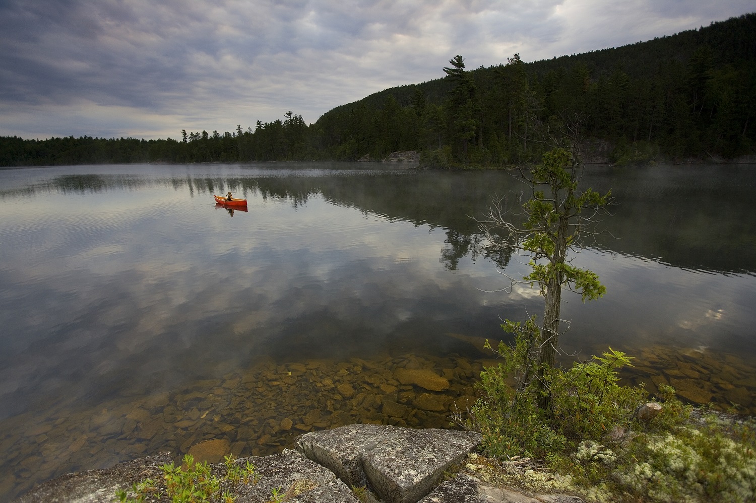 canoe on misty lake