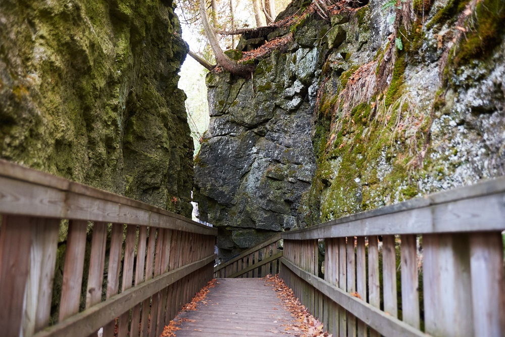 lookout trail