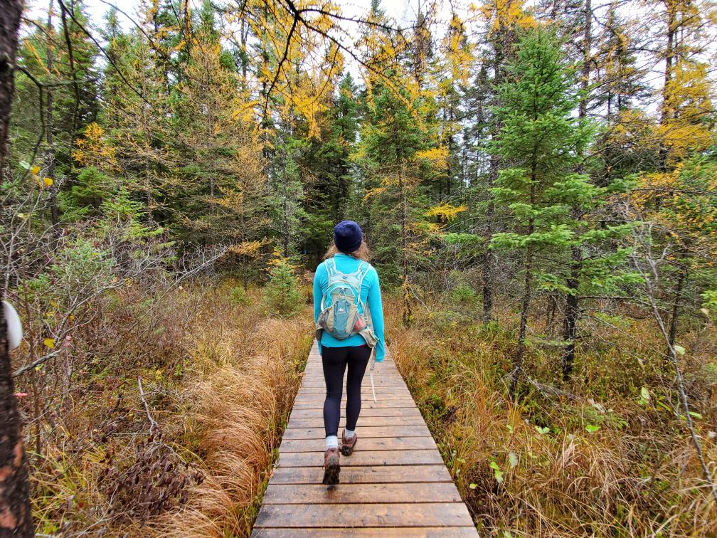 Woman hiking boardwalk