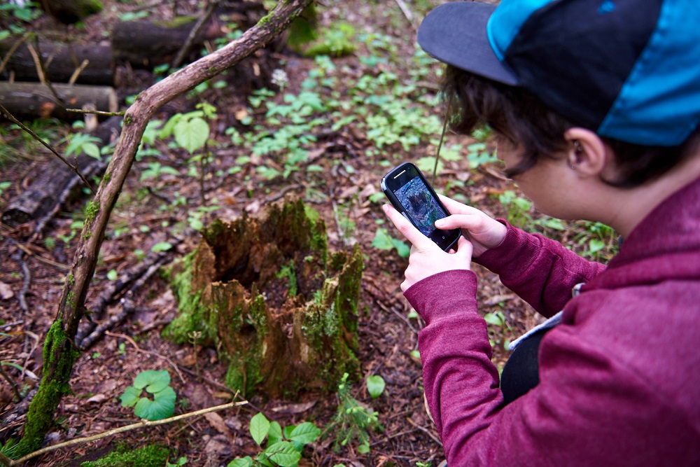 hiker taking photo of tree