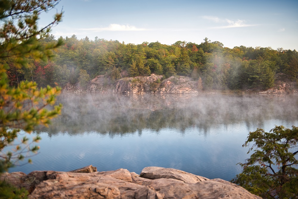 misty lake