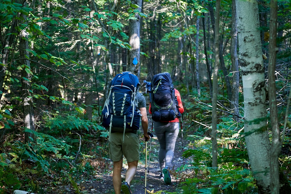 people hiking