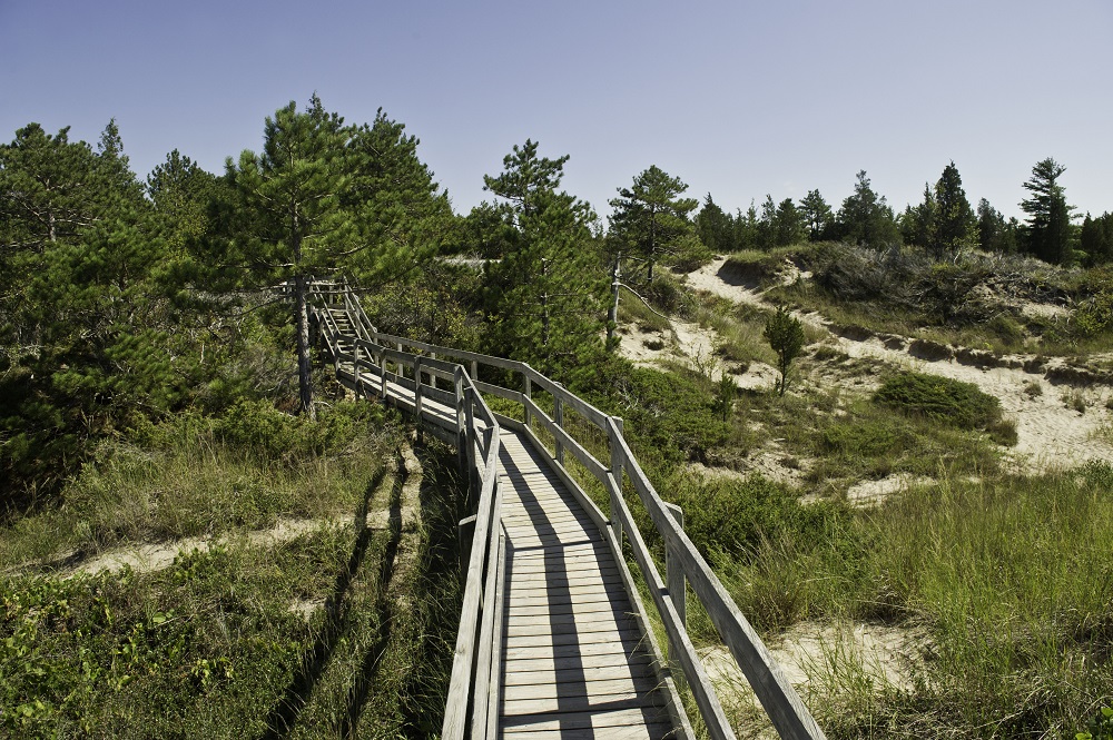 boardwalk