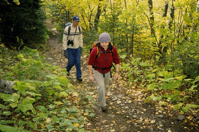 Two hikers walking through the woods in the autumn 