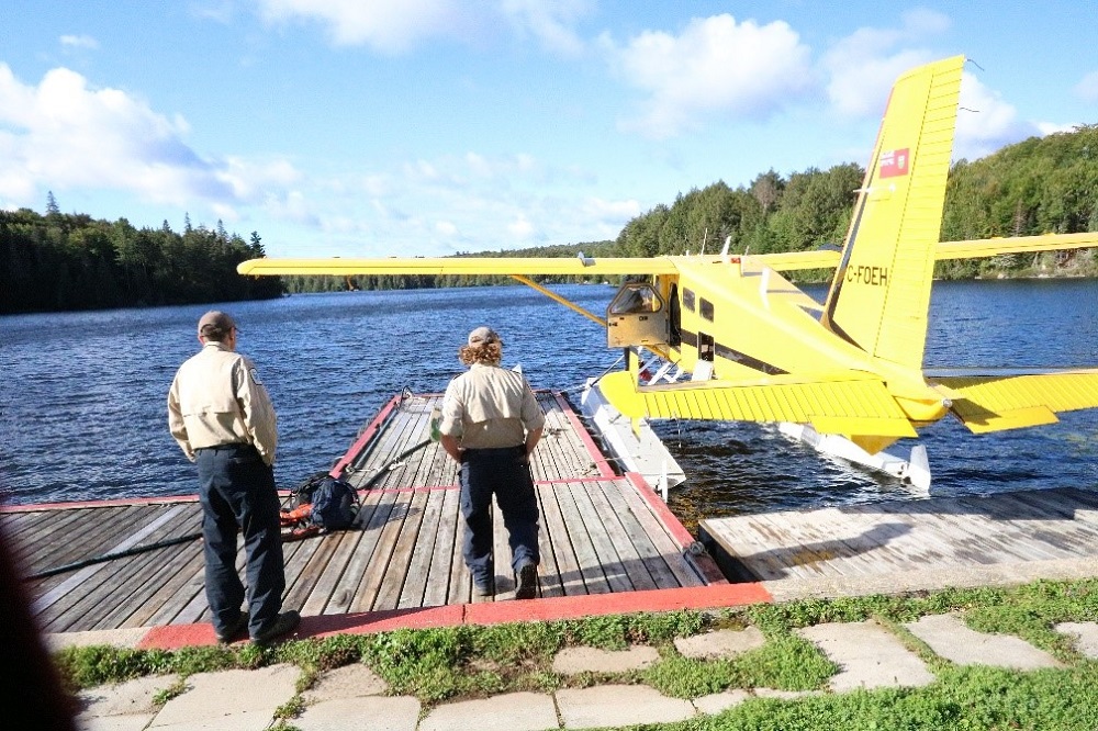 staff near plane