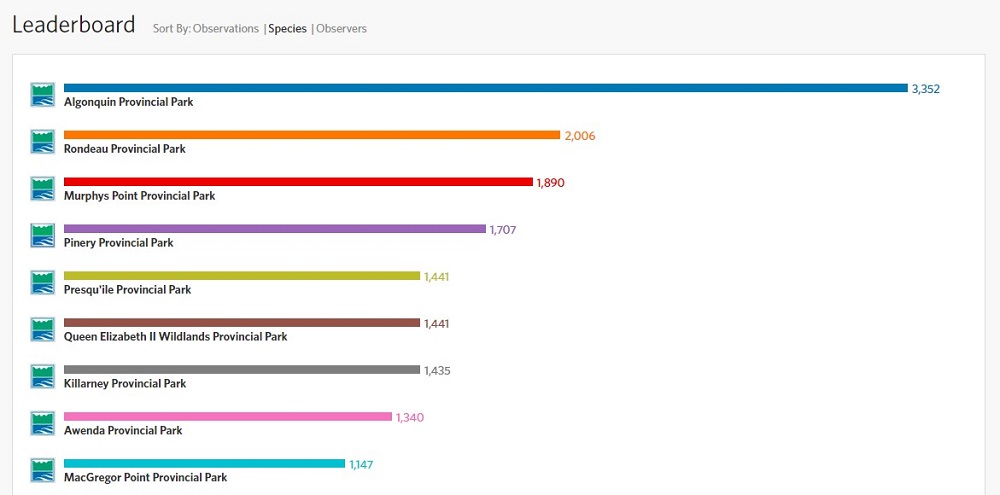 inaturalist leader boards