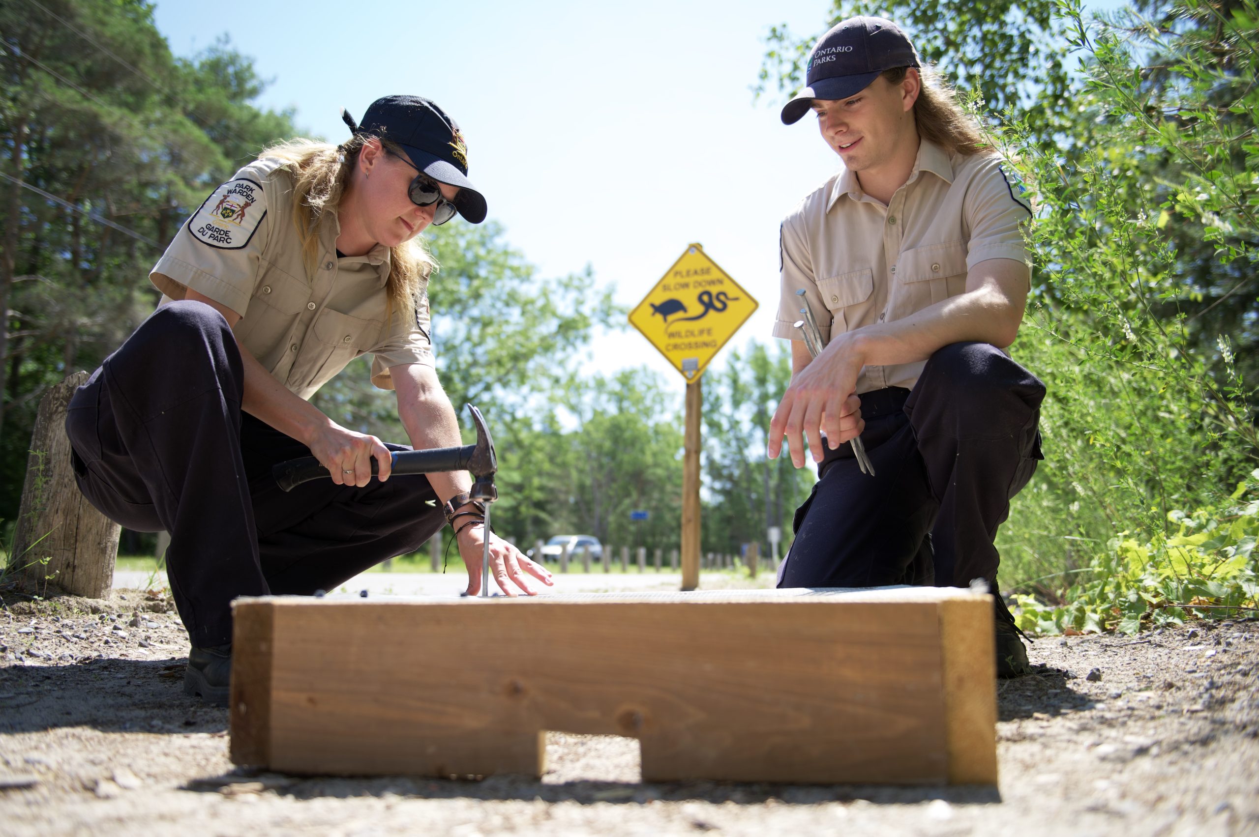 Park staff installing a turtle nesting box