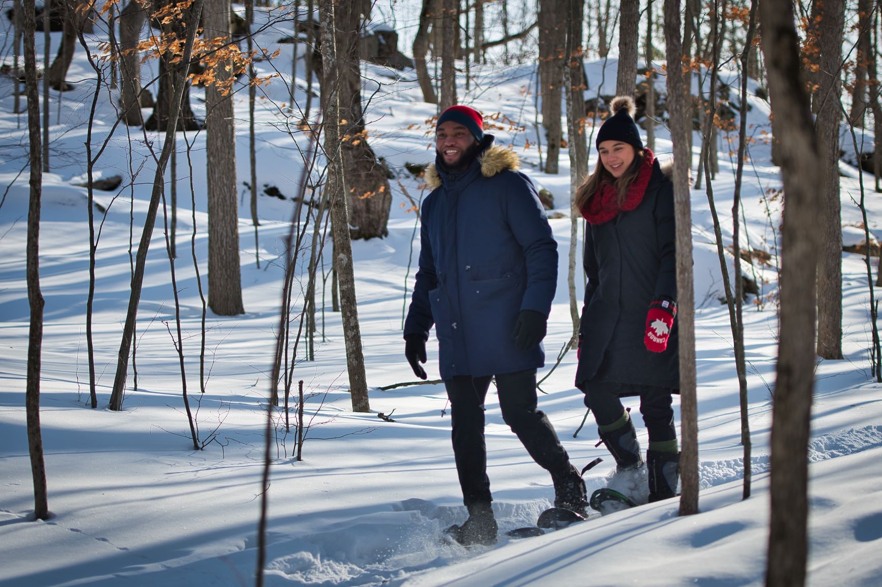 two showshoers on trail through snowy forest