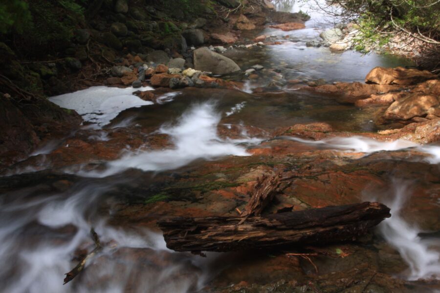 Creek with water rushing over rocks