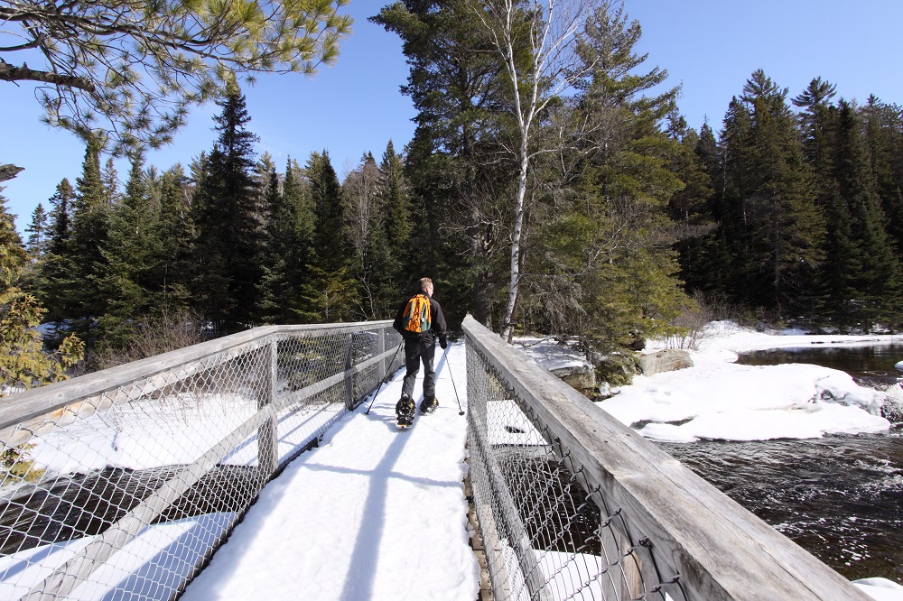 people snowshoeing