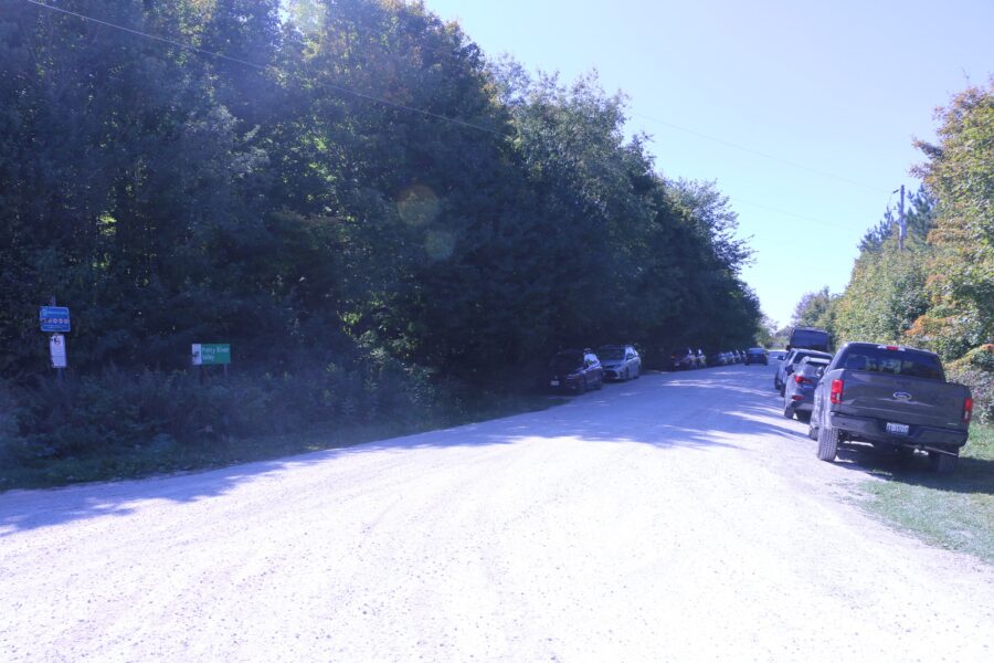 cars parked on roadside