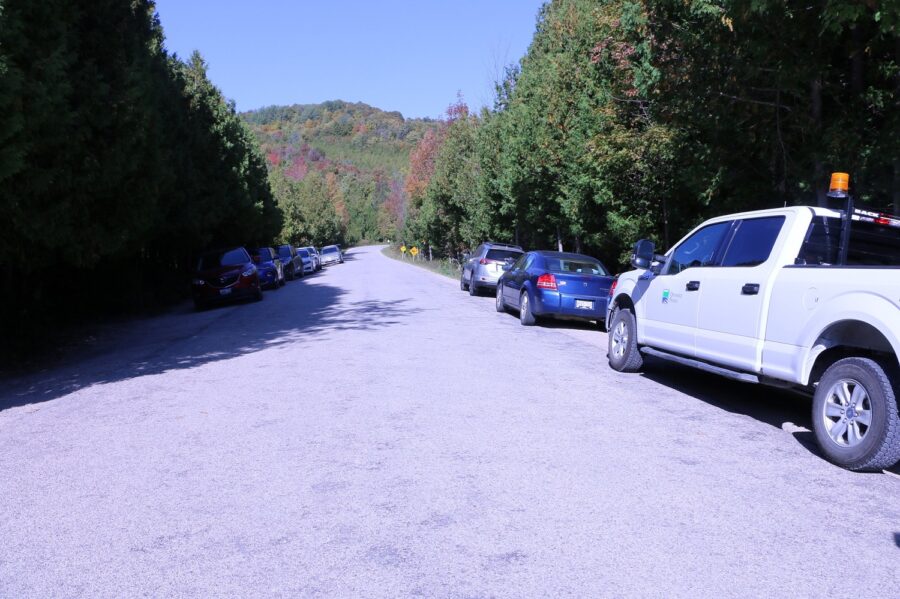 cars parked along road 